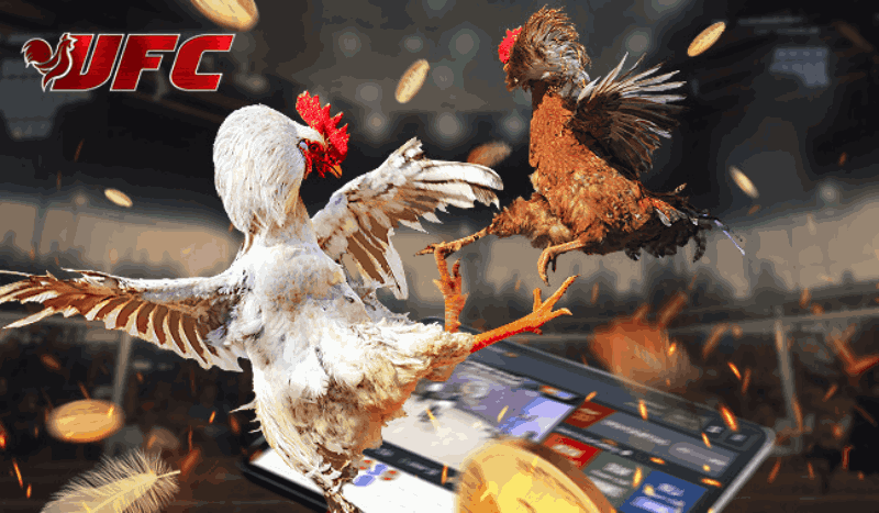 Đá gà ở M88 có gì hot