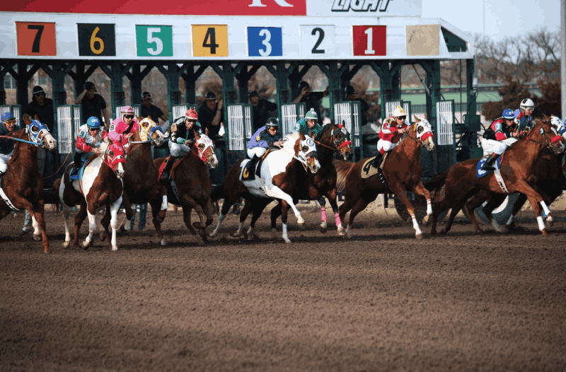 kèo cá cược đua ngựa